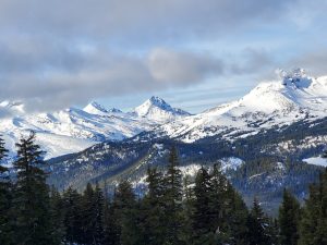 Landscape photo of mountains with snow and trees in the foreground to visually reflect meditation, stillness and transformational learning. Taken by Aly Waibel